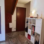 Rent a room of 16 m² in Padova