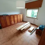 Rent 4 bedroom apartment of 20 m² in Rome