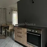 Rent 2 bedroom apartment of 50 m² in Turin