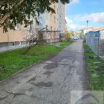 Rent 1 bedroom apartment of 23 m² in Brno