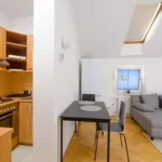 Rent 1 bedroom apartment of 40 m² in prague