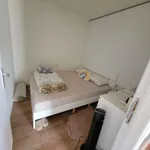 Rent 1 bedroom apartment in Leuven