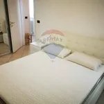 Rent 3 bedroom apartment of 80 m² in Bologna