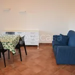 Rent 2 bedroom apartment of 55 m² in Fabriano