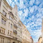 Rent 1 bedroom apartment of 50 m² in Capital City of Prague