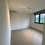 Maison de 459 m² avec 3 chambre(s) en location à BREE