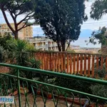 Rent 3 bedroom apartment of 102 m² in Genoa