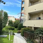 Rent 1 bedroom apartment of 45 m² in Legnano