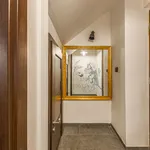 Rent 2 bedroom apartment of 100 m² in Prague