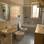 Rent 3 bedroom apartment of 75 m² in Anzio