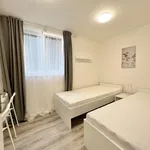 Rent 1 bedroom apartment in Brno