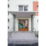 Rent 2 bedroom apartment of 49 m² in Neratovice