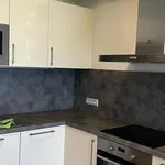 Rent 1 bedroom apartment in Praha 6