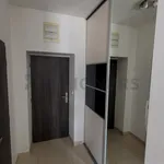 Rent 1 bedroom apartment of 27 m² in Brno