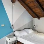 Rent 1 bedroom apartment in Bologna