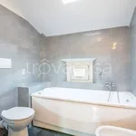 Rent 3 bedroom apartment of 80 m² in Pisa