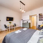 Rent 1 bedroom apartment in Praha 3