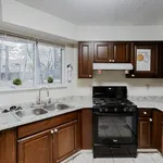 Rent 1 bedroom apartment in Stone Mountain