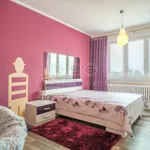 Rent 5 bedroom apartment in Karlovy Vary