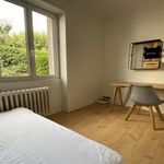  appartement avec 1 chambre(s) en location à Brest