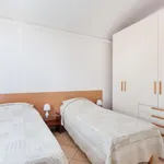 Rent 1 bedroom apartment of 35 m² in bologna