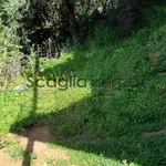 Rent 3 bedroom apartment of 52 m² in Bastelicaccia