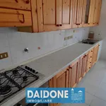 Rent 3 bedroom apartment of 70 m² in Livorno