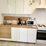 Rent 1 bedroom apartment in prague