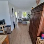 Rent 1 bedroom apartment of 52 m² in Haarlem