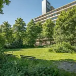 Rent 4 bedroom apartment of 94 m² in Voorhof-Hoogbouw