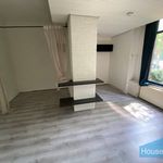 Huur 1 slaapkamer appartement van 20 m² in Apeldoorn