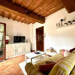 Rent 2 bedroom apartment of 50 m² in Vicopisano