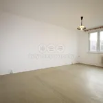 Rent 1 bedroom apartment of 40 m² in Loket