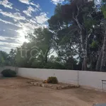 Rent 1 bedroom house of 85 m² in Manduria