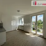 Rent 3 bedroom apartment of 92 m² in Slezské Rudoltice