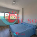 Rent 2 bedroom apartment of 70 m² in pisa