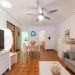 Alquilar 2 dormitorio apartamento en valencia