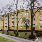 Rent 1 bedroom apartment of 39 m² in Łódź