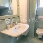 Rent 4 bedroom apartment of 155 m² in Zagreb