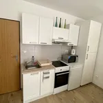 Pronajměte si 1 ložnic/e byt o rozloze 27 m² v Prague