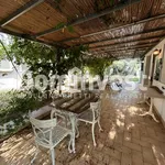 Rent 8 bedroom house of 215 m² in Montalto di Castro