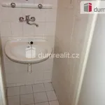 Rent 2 bedroom apartment of 38 m² in Břeclav