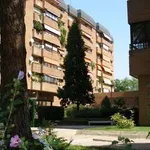 Rent 4 bedroom apartment of 150 m² in Madrid']