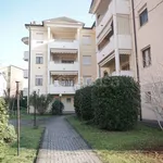 Rent 2 bedroom apartment of 60 m² in Colorno