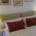 Rent 1 bedroom apartment in turin