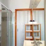 Rent 1 bedroom apartment of 30 m² in Milano