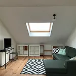 Rent 3 bedroom apartment of 49 m² in Groningen