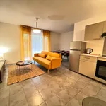 Rent 1 bedroom apartment of 42 m² in Tournefeuille