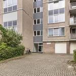 Rent 2 bedroom apartment in Sittard