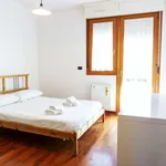 Rent 2 bedroom apartment in bologna